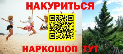 прущие крисы Изобильный