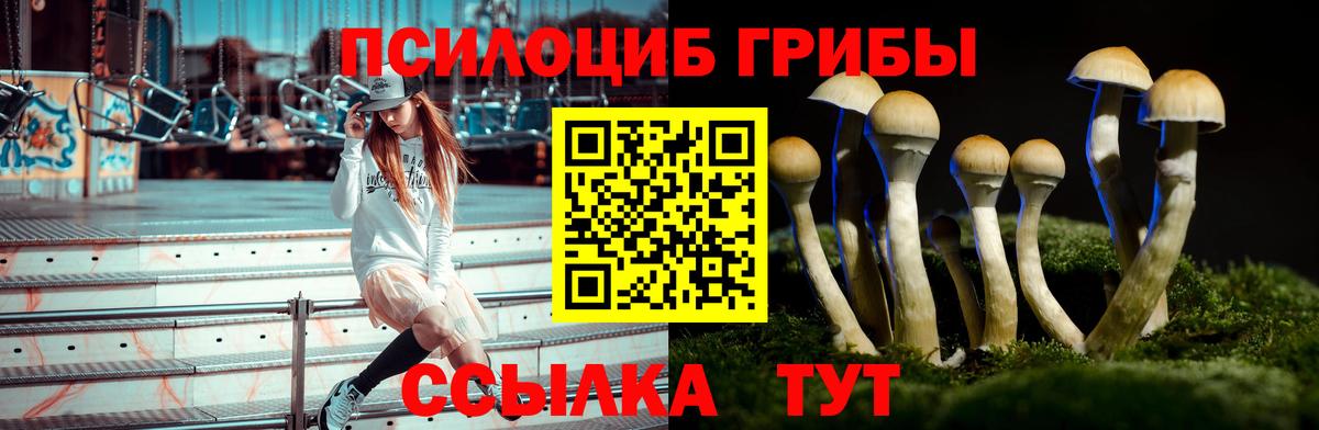 Псилоцибиновые грибы Psilocybine cubensis  Вход с VPN  Магнитогорск 