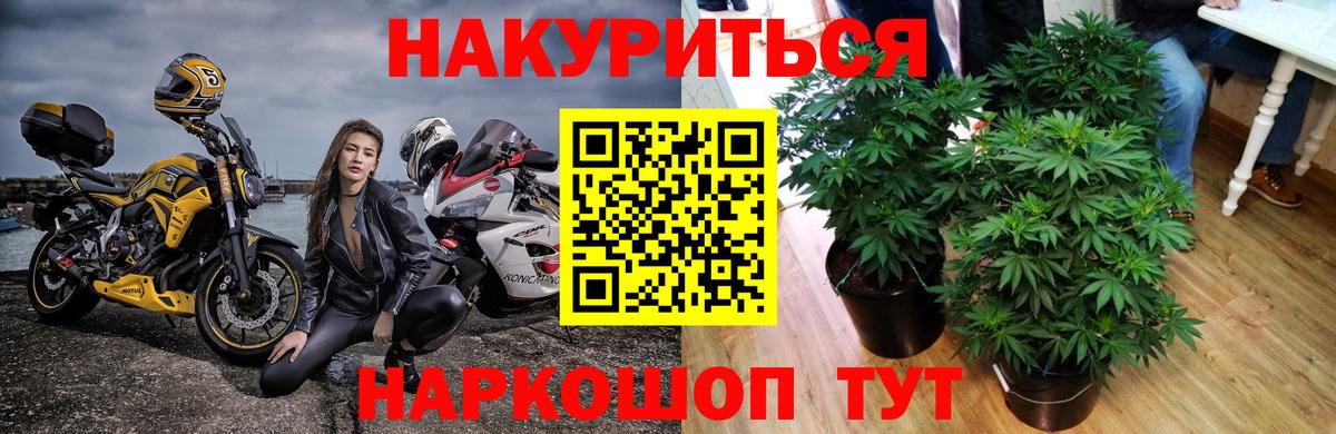 Магнитогорск  Канабис AK-47  Канабис ГИДРОПОН  Вход с VPN  МАРИХУАНА план  МАРИХУАНА индика 